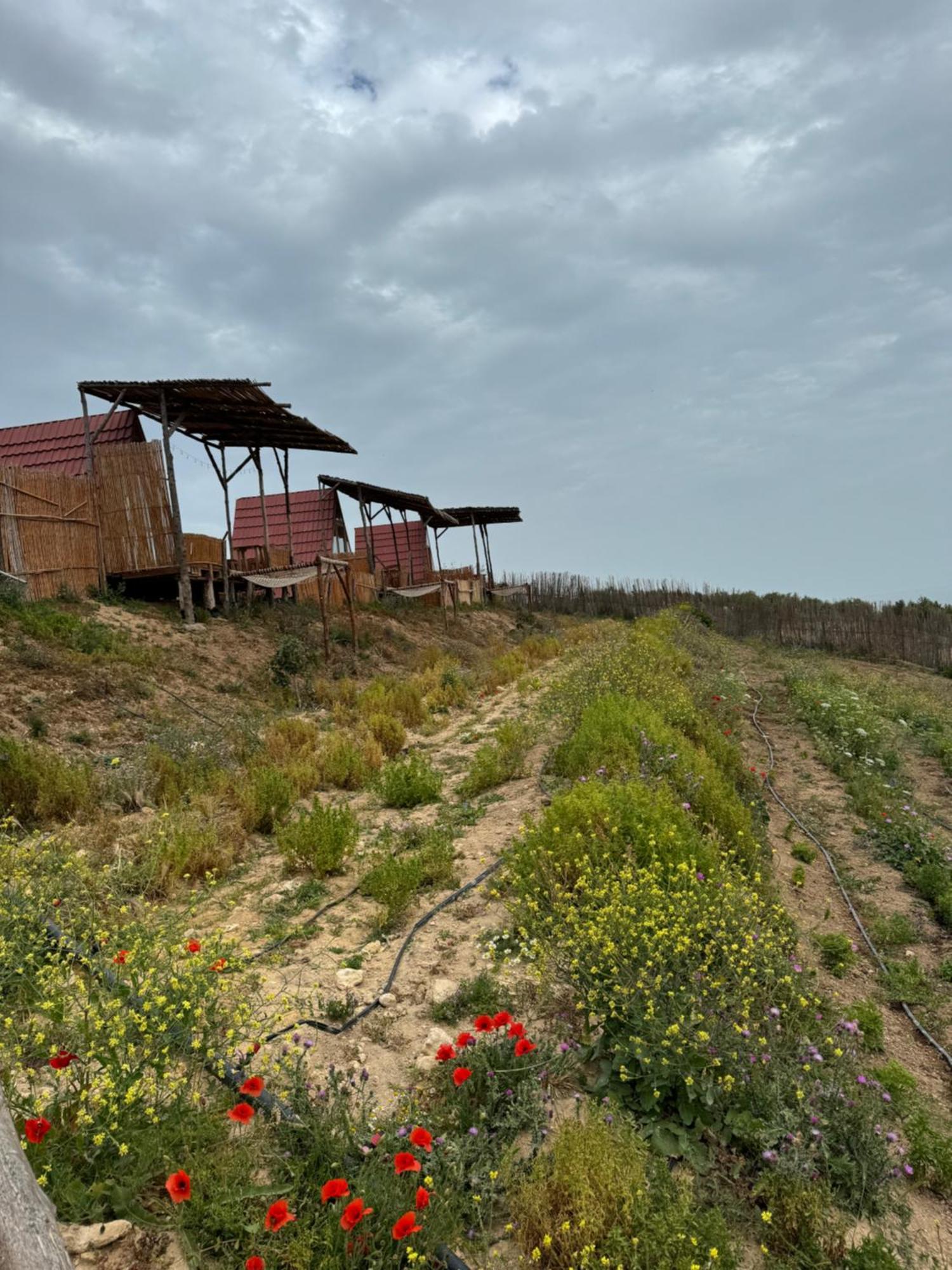 Ghar El Melh Outdoors Hotel Ra's al Jabal Exterior photo